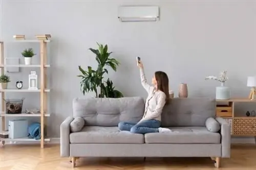 AC пахнет затхлостью