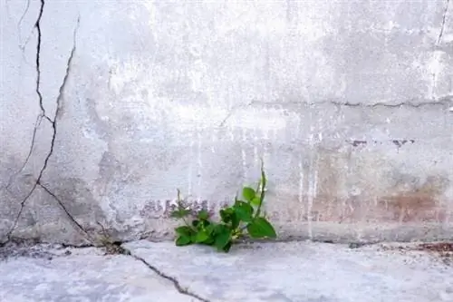 Стоимость ремонта трещины в фундаменте