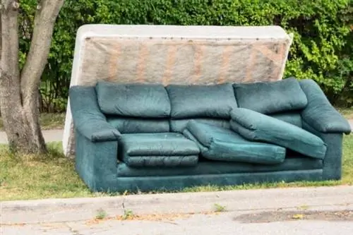 13 вещей, которые нельзя выбрасывать в мусорный бак при уборке дома