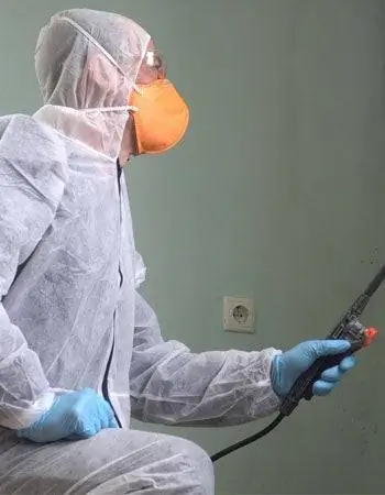 Инспекция плесени в сравнении с тестированием плесени в сравнении с исправлением плесени