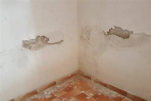 Стоимость восстановления повреждений водой