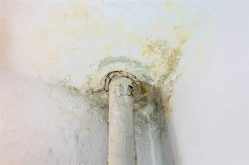 Стоимость восстановления повреждений водой