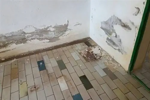 Стоимость восстановления повреждений водой