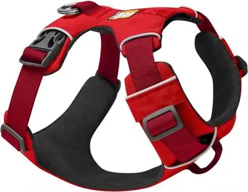 Наши любимые товары для владельцев собак: шлейка для собак Ruffwear
