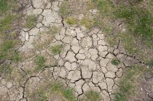 водные ограничения засуха озеленение водные ограничения засуха озеленение
