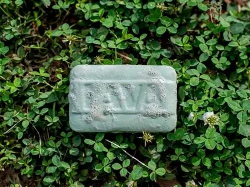 Обзор мыла LAVA