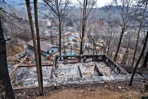 покрывает ли страховка домовладельцев лесные пожары покрывает ли страховка домовладельцев лесные пожары