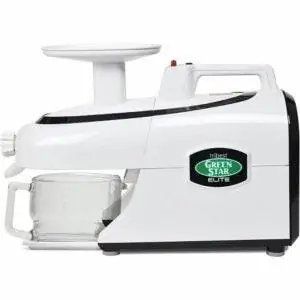 Лучший вариант соковыжималки: Tribest GSE-5000 Greenstar Elite Masticating Juicer