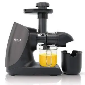 Лучшие варианты соковыжималки: Ninja JC101 Cold Press Pro
