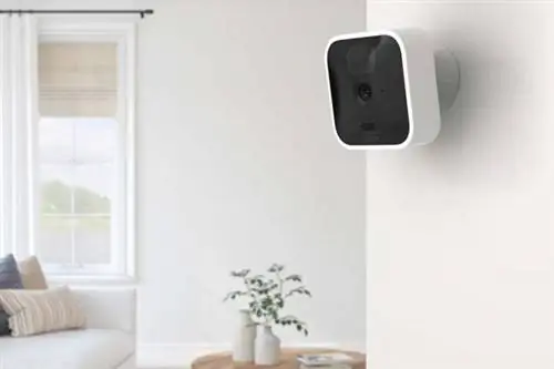 Стоимость подписки Blink Camera