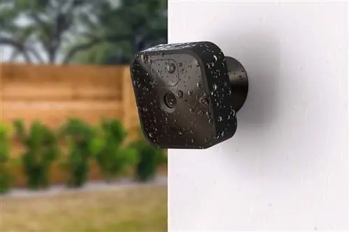 Сколько стоит подписка на Blink Camera?