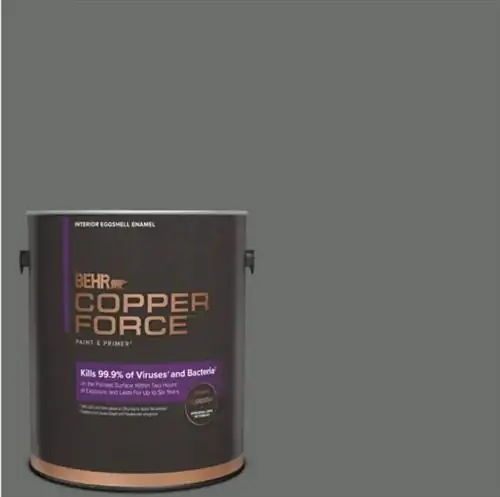 Home Depot праймер по простуде и гриппу
