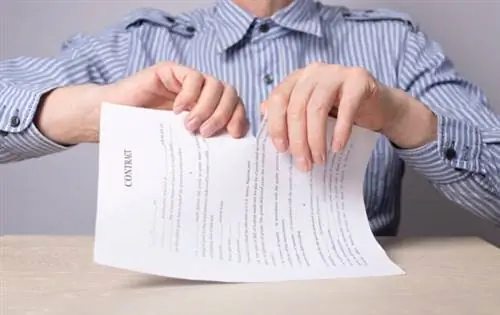 Что такое зонтичное страхование