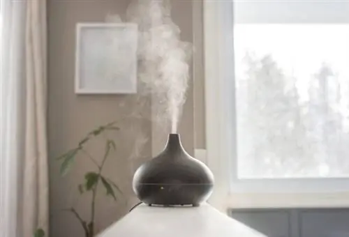 Диффузор эфирного масла, выпускающий пар в помещении