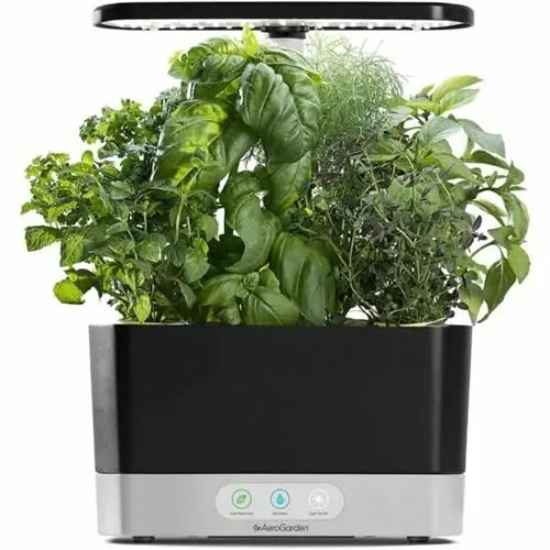Наш любимый AeroGarden со скидкой 52% в Киберпонедельник - и станет отличным подарком
