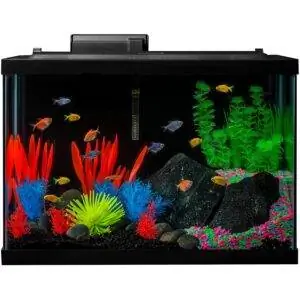 Лучший вариант аквариума: Аквариумный комплект GloFish Fish Tank со светодиодной подсветкой
