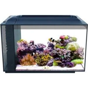Лучший вариант для аквариума: Fluval Sea Evo S altwater Fish Tank Aquarium Kit