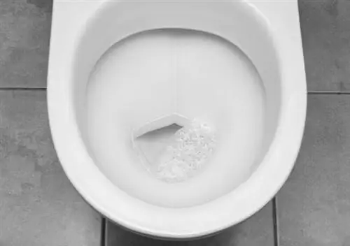 крупный план внутренней части унитаза с чистой бурлящей водой крупный план внутренней части унитаза с чистой бурлящей водой