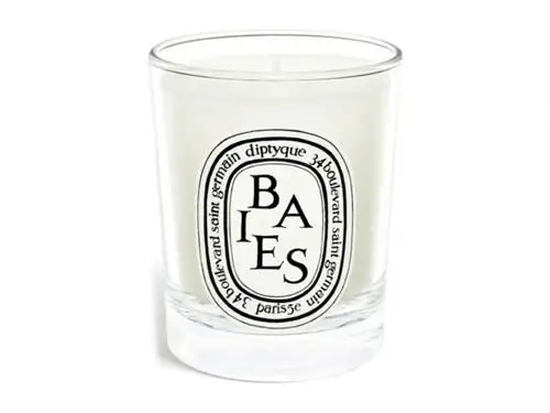 Лучшие подарки в дизайне интерьера: свеча Diptique Baies