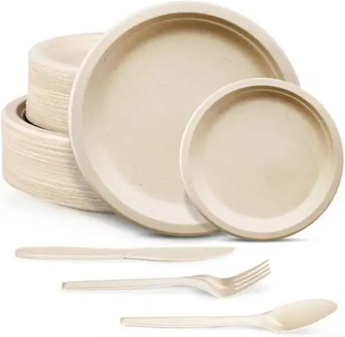 Amazon Forbidden New Years Chore Biodegradable Plates Amazon Forbidden New Years Chore Biodegradable Plates