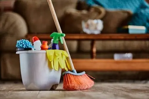 iStock-1328423673 Запретная новогодняя метла и моющие средства на полу в гостиной iStock-1328423673 Запретная новогодняя метла и моющие средства на полу в гостиной