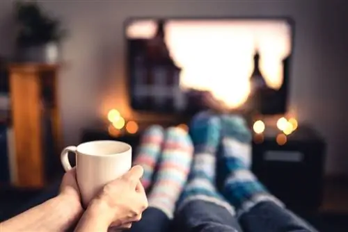Don’t Делайте эту работу в Новый год’s Day If You’re суеверный