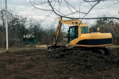 Стоимость очистки земли