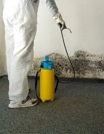 Факторы при расчете стоимости ликвидации плесени