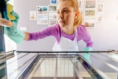 Как почистить электрическую духовку женщина чистит духовку вид спереди