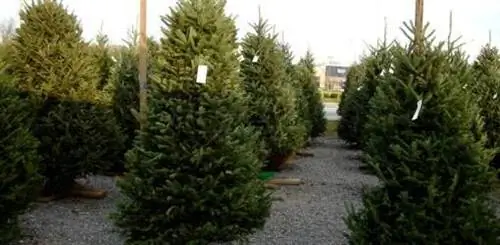 Сезон для клещей?