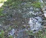 стоячая вода во дворе