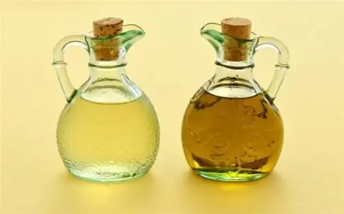 Ловушка для комаров