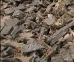 Пейзажная мульча RubberStuff в грядке.