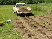 Грузовик подъехал к саду, сажая овощи