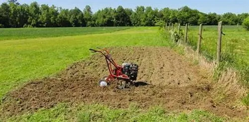 Это особенное весеннее истощение