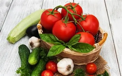 Летний урожай овощей, включая помидоры, огурцы, кабачки и чеснок.