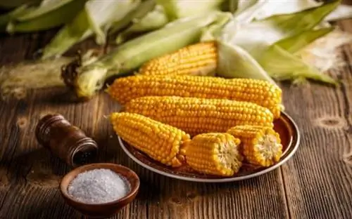 Очищенная кукуруза и соль на столе