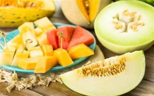 Нарезанный арбуз, дыня и медовые дыни