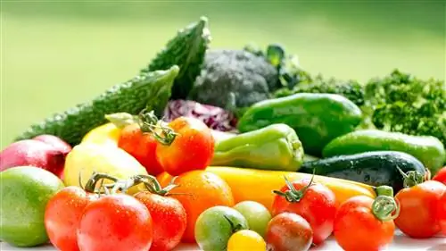 Советы по выращиванию летних овощей