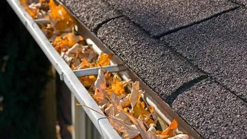 Листья в канавах