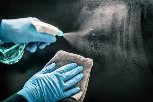 Убивает ли отбеливатель клопов? [плюс Альтернативы]