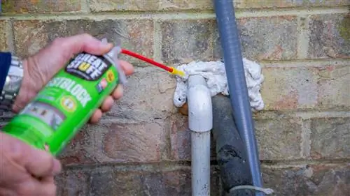 Борьба с крысами без ядов всего за два шага