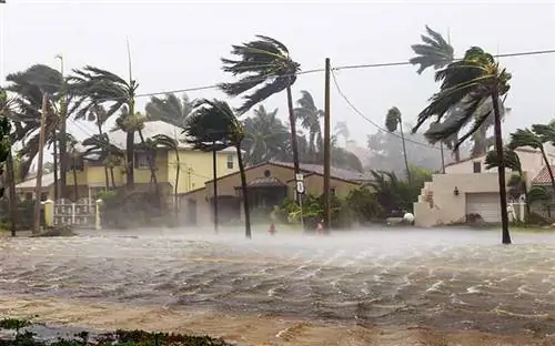 Ураганные ветры бьют пальмы по деревьям из-за наводнения на улицах