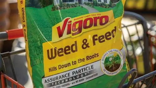 Vigoro Weed and Feed: универсальное решение для ухода за газоном
