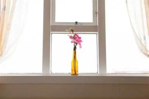 Zola Windows против Marvin – что лучше?