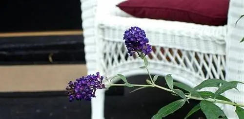 Вид со стула тайм-аут