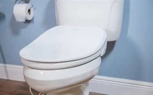 Электронное сиденье для унитаза-биде Fluidmaster Soft Spa