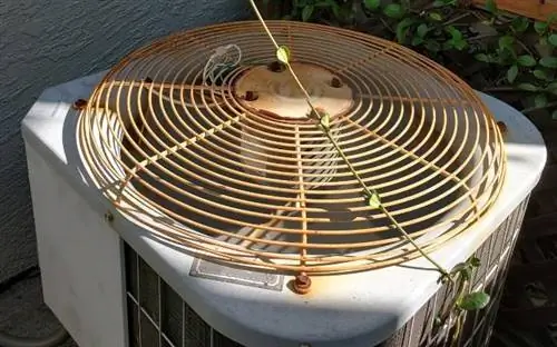 Виноградная лоза, растущая на наружном кондиционере