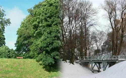 Разделенное изображение сцены на открытом воздухе, показывающее летнее время слева и зимнее время справа.