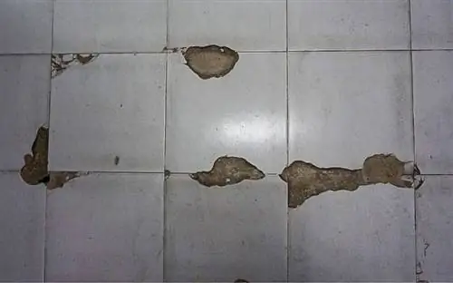 Поврежденный кафельный пол